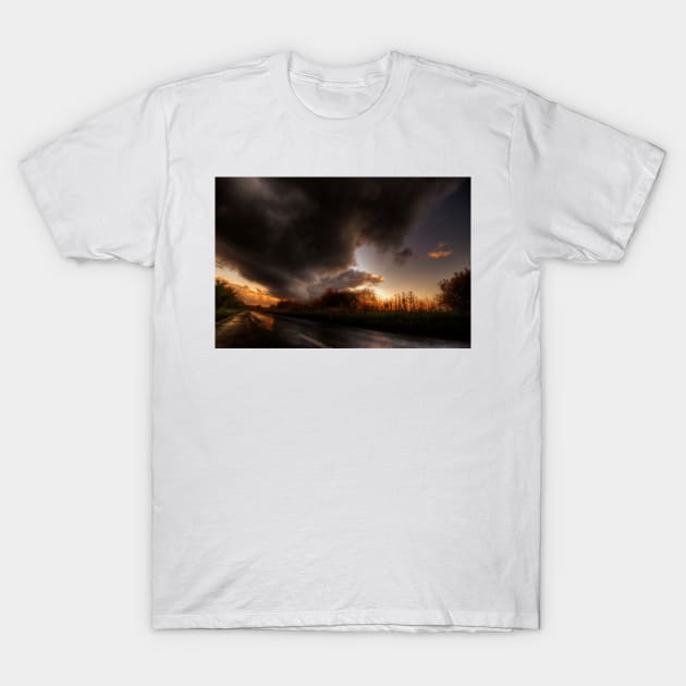 Stormy Skies T-Shirt by Nigdaw